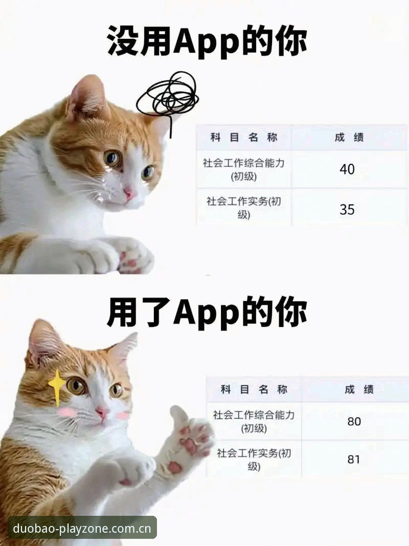 多宝体育APP安全防护再升级：2025年最新版本功能详解与用户指南